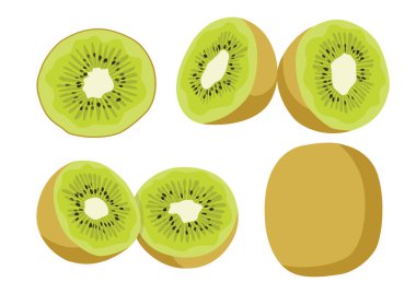 kiwi fruit and half isolated on white background illustration vector 