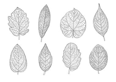 Balon tasarımı cam mozaik mozaik çizim vektörü