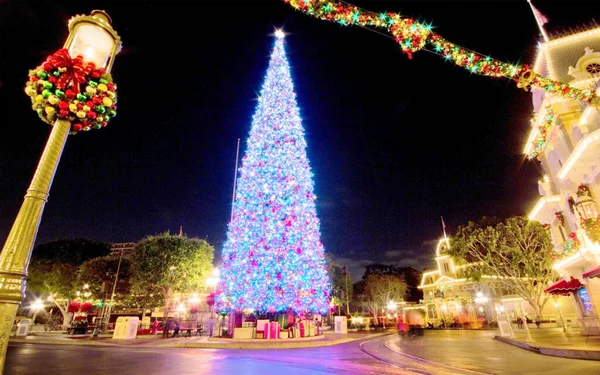 Gece arkaplanındaki devasa bir Noel ağacının görüntüsü