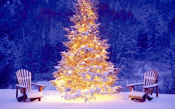 Uma Exibição Uma Árvore Natal Enorme Fundo Noite — Fotografia de Stock