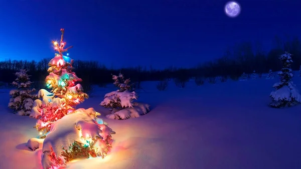 Uma Exibição Uma Árvore Natal Enorme Noite Fundo Azul — Fotografia de Stock