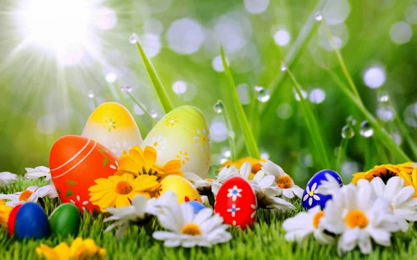 Colorful Painted Easter Eggs Green Grass Easter Eggs Flowers — Stock Photo, Image