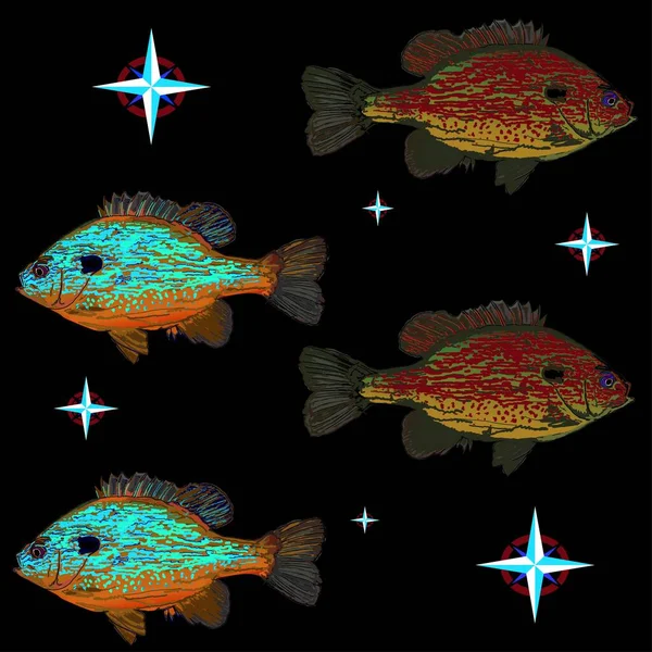 具有黑色背景和指南针的南瓜胸棘淡水鱼模式 — 图库矢量图片