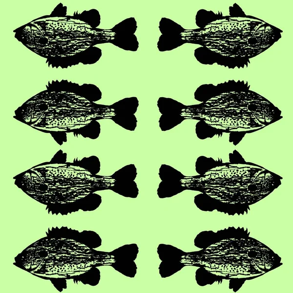 Limon Yeşili Arkaplanlı Çamurlu Tatlı Balığı Şablonu — Stok Vektör