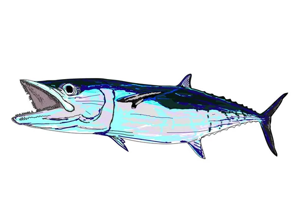 Full Colored King Mackerel Kingfish — Stock Vector