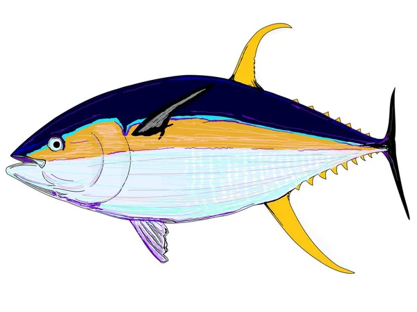 Tam Renkli Sarı Yüzgeçli Ton Balığı — Stok Vektör