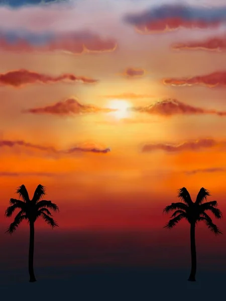 Pôr Sol Laranja Silhueta Palmeira — Fotografia de Stock