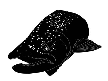  Half of a salmon fish silhouette clipart