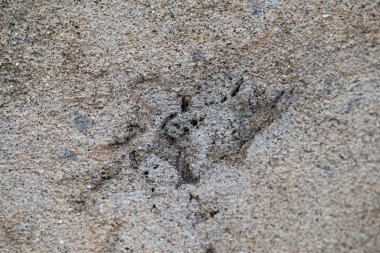 Eski grunge çatlak duvar desenli arka plan, çimento duvar arka plan dış.