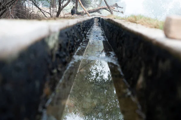 Водный Канал Орошения Посевных Полей Деревне — стоковое фото