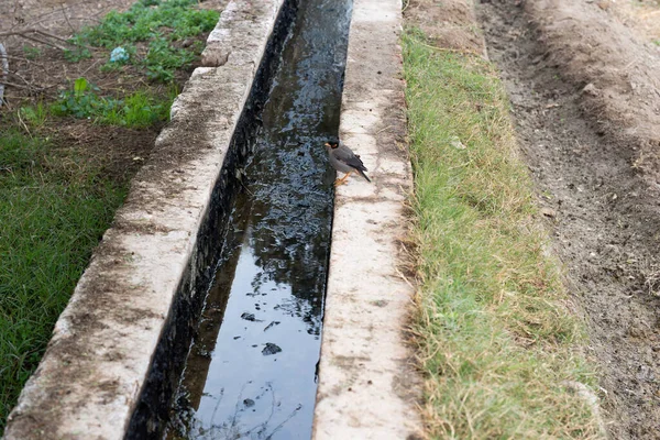 Köydeki Tarla Sulama Sistemi Için Kanalı — Stok fotoğraf