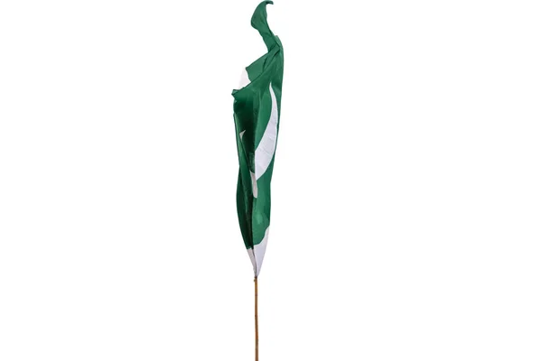 Pakistan Ulusal Bayrağı Gökyüzünde Dalgalanıyor — Stok fotoğraf