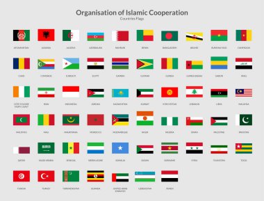 OIC Ülkeleri Dikdörtgen bayrak simgesi