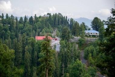 Nathia Gali 'deki dağlar ve Vellay, Abbottabad, Pakistan.