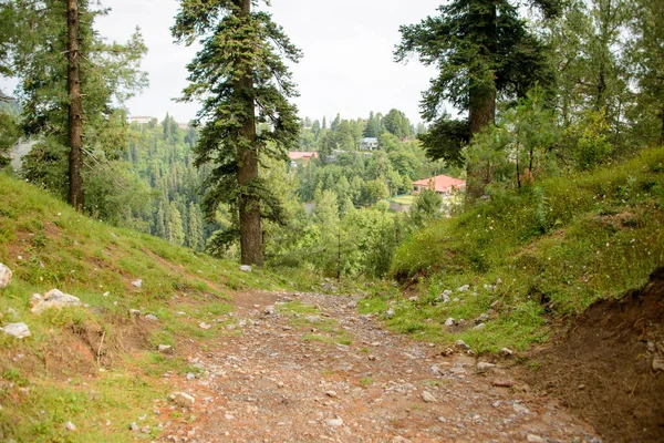 Caminho Para Montanhas Nathia Gali Abbottabad Paquistão — Fotografia de Stock