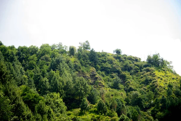 Mountains Vellay Nathia Gali Abbottabad Pakistan — Stock Photo, Image