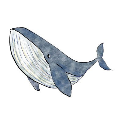 Whale watercolor painting style ocean animal vector illustration isolated on white background