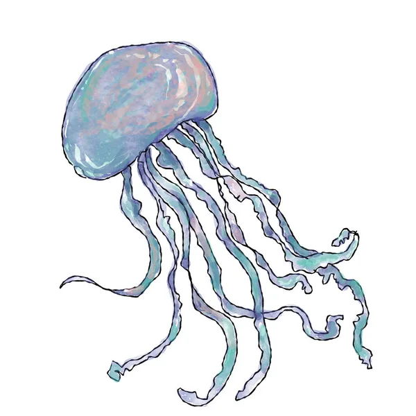 Jellyfish Sea Animal Ocean Watercolor Painting Style Vector Isolated White — 스톡 벡터