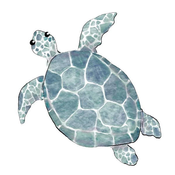 Turtle Sea Animal Ocean Watercolor Painting Style Vector Isolated White — Stock Vector