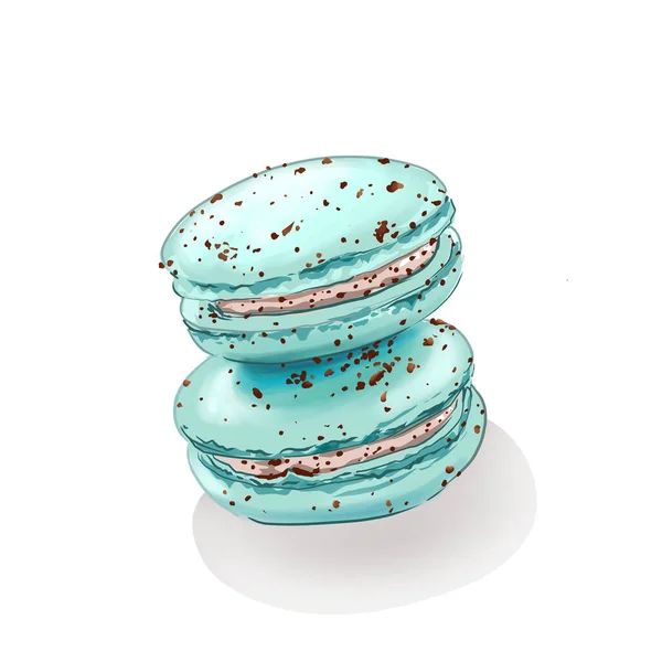 Schokolade Minze Macaron Cookies Vektor Isoliert — Stockvektor