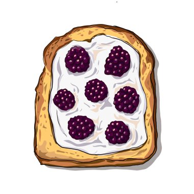 Izole edilmiş bir tost vektöründe krem peynir ve ahududu.