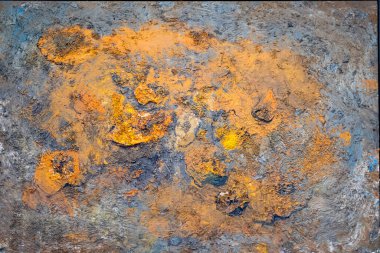 Miquel Barcelo, Des potirons, -Pumpkins-, Mixed technique on canvas, 1998, Museo de Bellas Artes, Bilbao, Spain