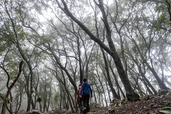 Hikers Foggy Forest Son Tries Fita Del Ram Mountain Esporles — Foto de Stock