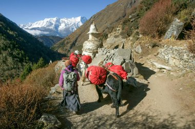 Serca de Milingo korosu. Sagarmatha Ulusal Parkı, Khumbu Himal, Nepal, Asya.