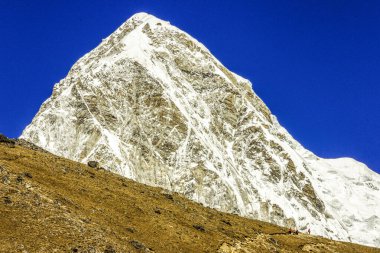 ascent to the Kala Patthar 5550mts and summit of the Pumori 7165 mts.glacier of Khumbu.Sagarmatha National Park, Khumbu Himal, Nepal, Asia.