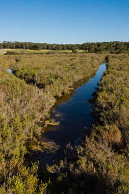 salobrar de Campos, Mallorca, balearic islands, spain, europe