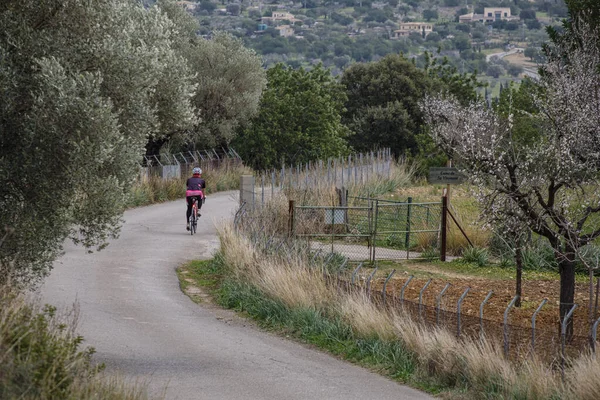cyclist on the road, Mancor de la Vall, Mallorca, Balearic Islands, Spain