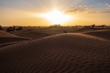 large dunes in M'Hamid, Zagora region, Morocco, Africa