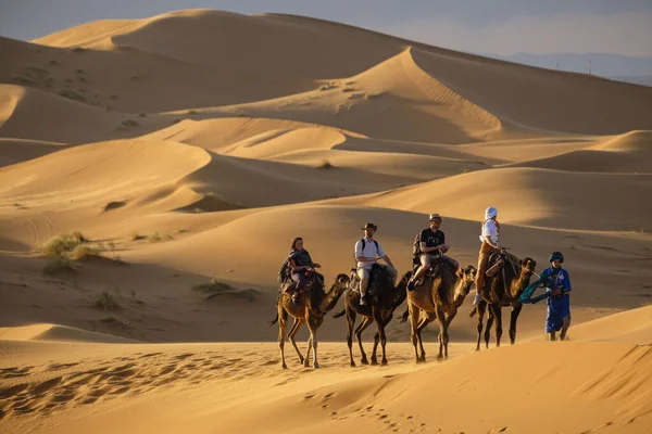 Dromedary, Erg Chebbi kumulları, Merzouga, Fas, Afrika 'daki turistler