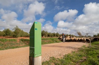 shepherd with his flock, Campo de Criptana, province of Ciudad Real, Castilla-La Mancha, Spain