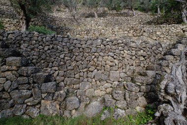 bancales de Ses Tres Creus, Soller, Mallorca, Balearic Islands, Spain