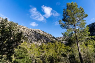 Coma dels Cairats, Son Moragues kamu malikanesi, Valldemossa, Mayorka, Balearic Adaları, İspanya