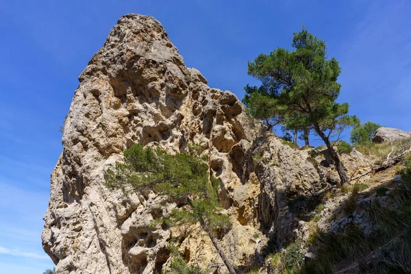 stock image rocky spur in the pass of Cala Ferrera, Soller, Majorca, Balearic Islands, Spain