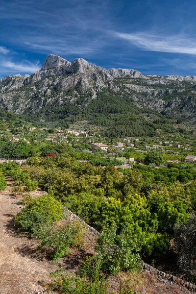 Biniaraix Orchards Mountains Background Soller Valley Route Mallorca Balearic Islands — Stock Photo, Image