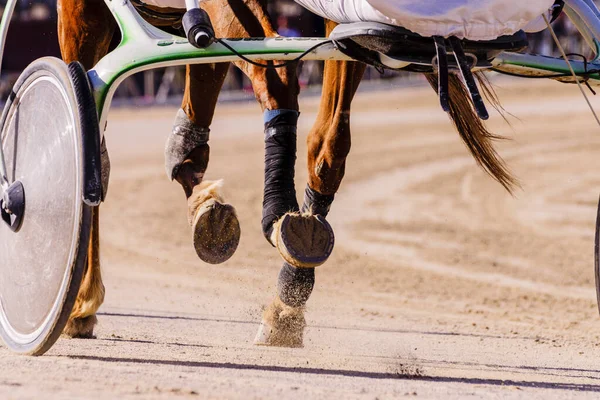 stock image grand prix of hippica, hippodrome of Son Pardo, Palma,mallorca, balearic islands, Spain, europe