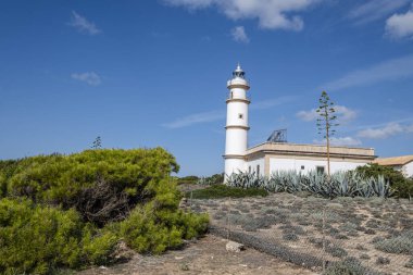 Cape Salines Deniz Feneri, Santanyi, Mallorca, İspanya