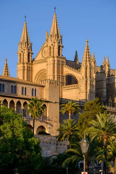 Almudaina Sarayı Katedral Palma Mayorka Balearic Adaları Spanya — Stok fotoğraf