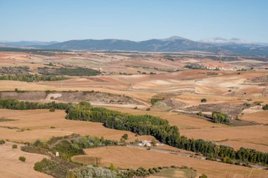 Henares Vadisi, Jadraque, Guadalajara, İspanya 'da küçük bir çiftlik.