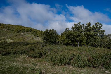 Sierra Norte de Guadalajara Doğal Parkı, Cantalojas, Guadalajara, İspanya