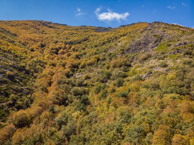 Tejera Negra, Sierra Norte de Guadalajara Doğal Parkı, Cantalojas, Guadalajara, İspanya