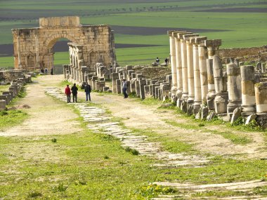 Ciudad Romana de Volubilis (II.), Decumanus Maximus y arco de Caracalla.Marruecos.
