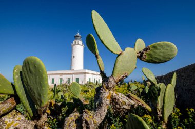 La Mola Deniz Feneri, Formentera, Pitiusas Adaları, Balear Community, İspanya