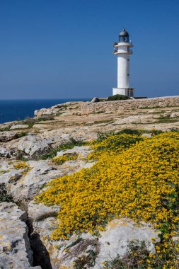 Cap Barbaria deniz feneri, Formentera, Pitiusas Adaları, Balear Community, İspanya