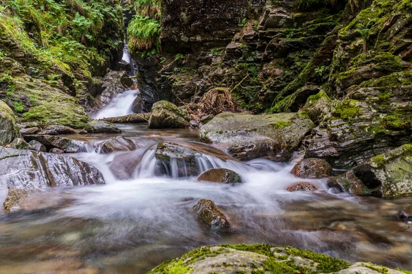 Buchen Tannenwald Von Suberlenc Lys Tal Pyrenäen Frankreich — Stockfoto