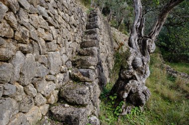 bancales de Ses Tres Creus, Soller, Mallorca, Balearic Islands, Spain