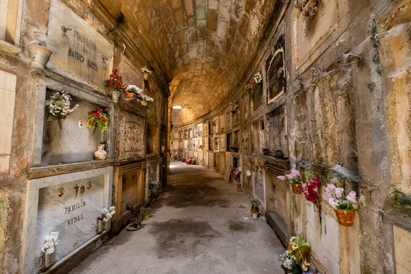 Catacumbas, Utilizadas para enterrar fallecidos durante la epidemia de la Gripe de 1918, cementerio de Palma, açılış töreni 1821, palma de mallorca, Mallorca, Balearic Adaları, İspanya